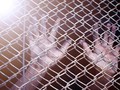 Lima WNI Ditawan di Filipina Dijaga 30 Anggota Abu Sayyaf