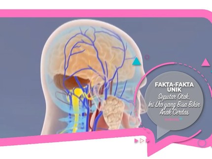 Fakta-fakta Unik Seputar Otak, Ini Lho yang Bisa Bikin Anak Cerdas