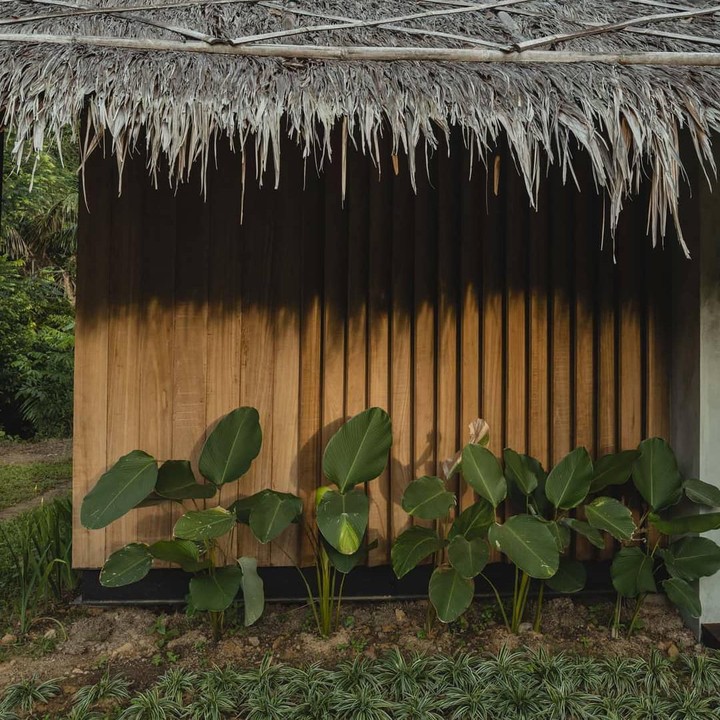 <p>Penginapan milik Nicholas Saputra diberi nama Terario Tangkahan. Dalam penjelasannya, penginapan tersebut dikelilingi oleh hutan dan merupakan lokasi untuk mengawali petualangan menuju hutan hujan Sumatera. (Foto: Instagram @terrariotangkahan)</p>