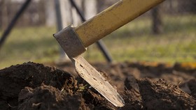 Petani di Bromo Temukan 1 Kuintal Koin Kuno saat Tanam Kubis
