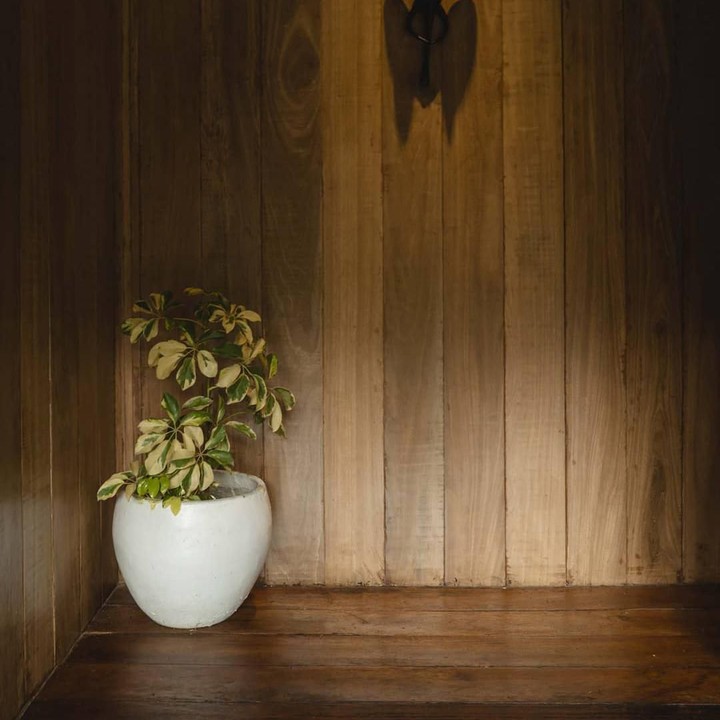 <p>Interior dan eksterior penginapan milik Nicholas Saputra didominasi oleh kayu. Membuatnya lebih terlihat hangat dan menyatu dengan alam. (Foto: Instagram @terrariotangkahan)</p>