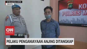 VIDEO: Pelaku Penganiayaan 6 Ekor Anjing Ditangkap Polisi