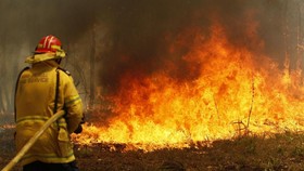 Ratusan Rumah Hancur Akibat Kebakaran Hutan di Australia