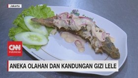 VIDEO: Aneka Olahan & Kandungan Gizi Lele