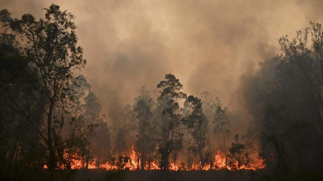 Seorang lelaki Australia berusia 51 tahun di Kota Ebor, New South Wales, diadili gara-gara membakar lahan dan menyulut kebakaran.