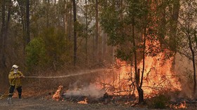 Pengalaman Terjebak Kebakaran Hutan di Australia