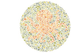 Tes Ketajaman Mata! Siapa yang Bisa Lihat Semua Gambar Ini?