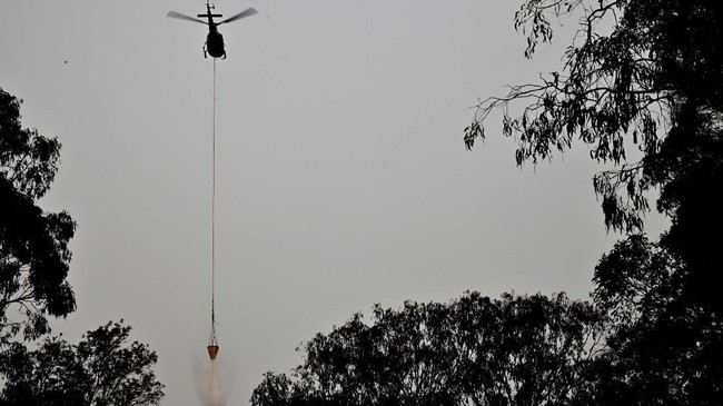Sebuah helikopter dilaporkan jatuh saat melakukan misi pemadaman kebakaran hutan di Pechey, utara Australia pada Rabu (13/11).