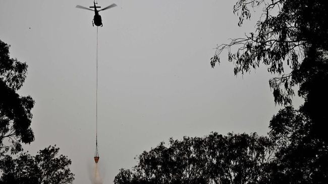 Helikopter Jatuh Saat Padamkan Karhutla di Australia Sebuah helikopter dilaporkan jatuh saat melakukan misi pemadaman kebakaran hutan di Pechey, utara Australia pada Rabu (13/11).