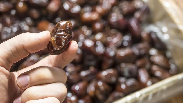 Menawarkan kebun kurma sebagai investasi menguntungkan, Kampoeng Kurma justru menjadi investasi abal-abal atau investasi bodong.
