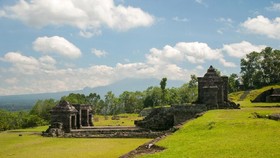 Kunto Aji Ikut Aksi Tanam Pohon di Candi Ratu Boko