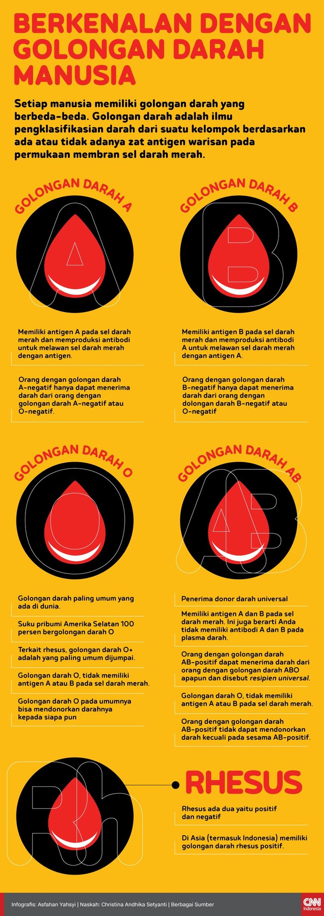 Infografis Mengenal Golongan Darah Manusia