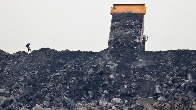 PLN Batubara, anak usaha PT PLN (Persero), terancam dibubarkan usai kisruh pasokan batu bara.
