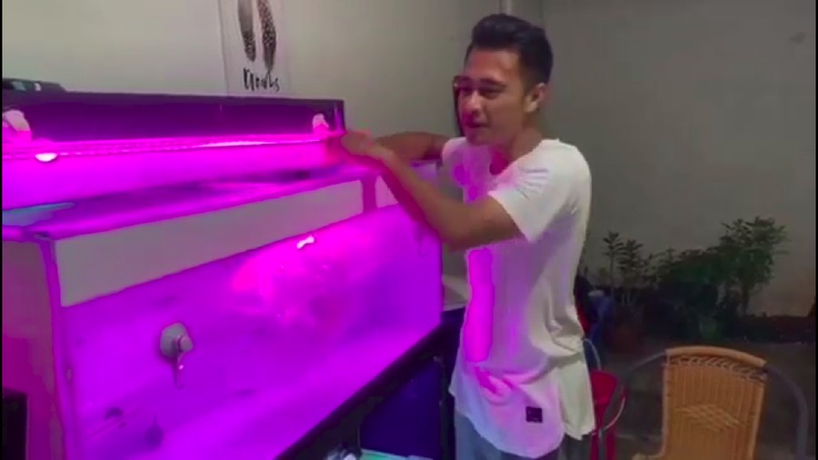Ancaman santet usai Eza Gionino beli ikan arwana.