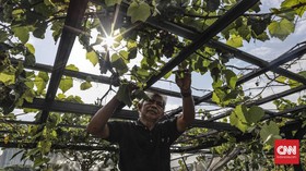 7 Manfaat Hebat dari Berkebun Selain Mengisi Waktu