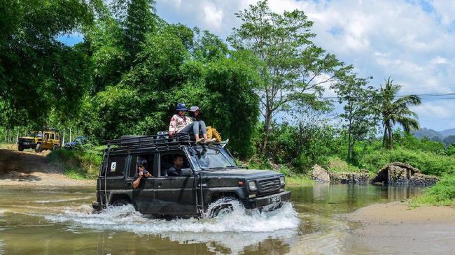 Ekowisata Bersama Kawanan Penyu di TN Meru Betiri Selain keindahan hutan dan pantai, Taman Nasional Meru Betiri juga dianugerahi habitat kawanan Penyu Belimbing yang imut.