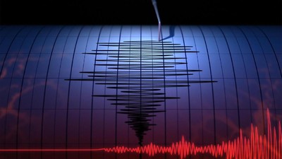 BNPB: Gempa Guncang Mentawai 14 Kali, Tidak Timbulkan Tsunami