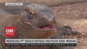 VIDEO: Mendesain NTT Menjadi Destinasi Wisatawan Asing Premiu