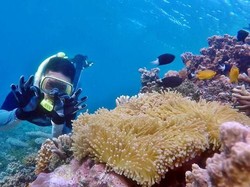 5 Tempat Wisata Makassar dan Sekitarnya yang Hits Banget