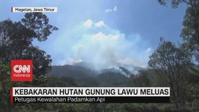 VIDEO: Kebakaran Hutan Gunung Lawu Meluas, Petugas Kewalahan