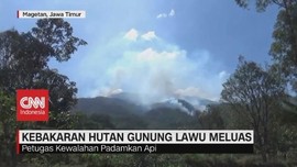 VIDEO: Kebakaran Hutan Gunung Lawu Meluas, Petugas Kewalahan