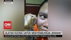 VIDEO: Unik, Perawatan Jerawat Dengan Jilatan Kucing