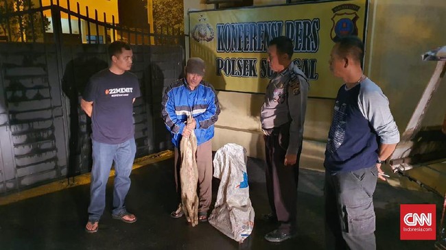 Polisi menangkap seorang pria yang diduga membuang bangkai babi di sungai di Desa Helvetia. Pelaku mendapat upah Rp500 ribu untuk membuang bangkai babi.