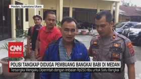 VIDEO: Polisi Tangkap Pembuang Bangkai Babi di Medan