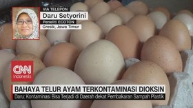 VIDEO: Ratusan Telur di Tropodo, Jatim Terkontaminasi
