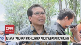 VIDEO: Istana Tanggapi Pro-Kontra Ahok Sebagai Bos BUMN