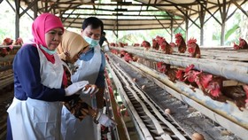 Khofifah Imbau Pelatih Minta Maaf Tuduh Atlet Tak Perawan