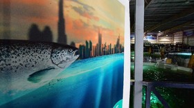 Ambisi Dubai 'Memanen' Salmon di Gurun Panas