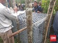 Marak Serangan Harimau, Pengusaha Villa Terancam Bangkrut