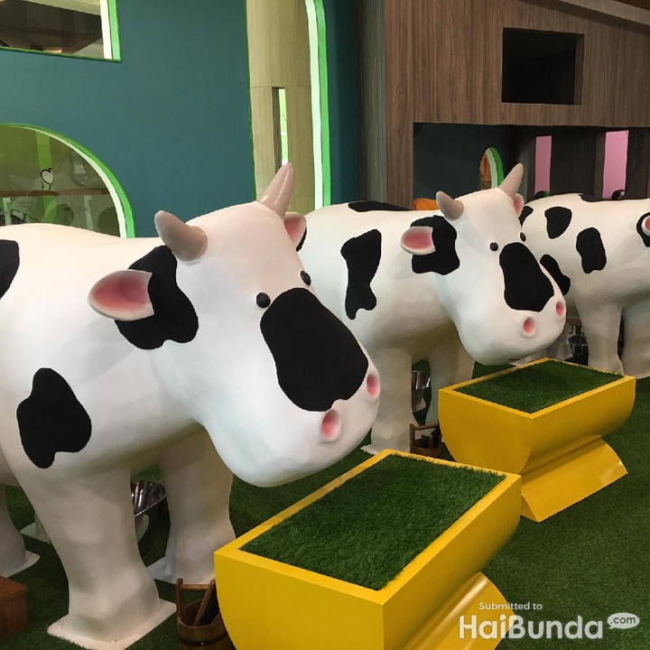 <p>Begitu masuk, anak akan berjumpa dengan field pertama yaitu Cow Barn alias peternakan sapi. Di sini anak-anak akan diberi edukasi cara merawat sapi dan bagaimana susu diperoleh.</p>