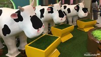 7 Spot Seru Youreka Kids Farm, Perkebunan & Peternakan di Tengah Kota