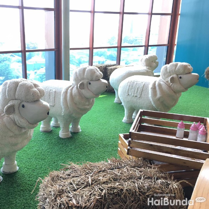 <p>Peternakan domba yang bakal diambil bulunya nanti akan diolah menjadi kain wool.</p>