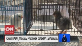 VIDEO: Chikenisasi untuk Pendidikan Karakter & Wirausaha