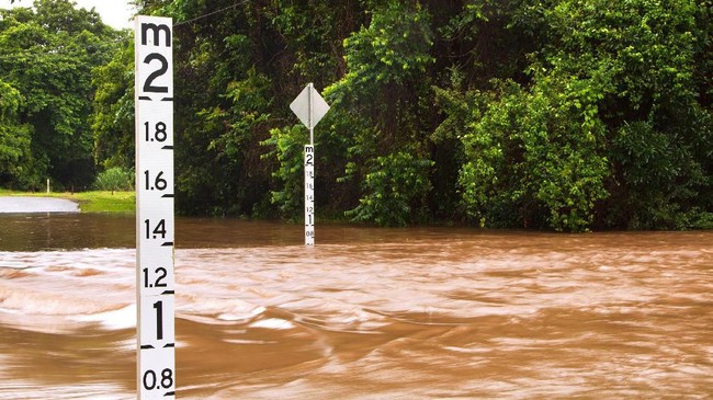 11 Desa di Demak Dikepung Banjir Usai Tanggul Sungai Tuntang Jebol Sebanyak 11 desa di Demak, Jateng, terdampak banjir akibat meluapnya Sungai Tuntang dan tanggul jebol. Upaya perbaikan tanggul sedang dilakukan.