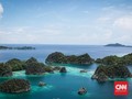 Cara Bintang Laut Berduri Rusak Terumbu Karang Raja Ampat