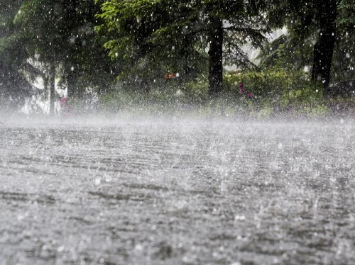 Hujan Lebat Melanda Bogor, Picu Banjir dan Longsor di Berbagai Wilayah