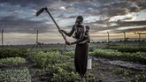FOTO: Menolak Tunduk pada Perubahan Iklim Pengungsi di Turkana, Kenya, Afrika, berhadapan dengan perubahan iklim. Namun di tengah himpitan cuaca ekstrem dan situasi serba minim, mereka bertahan hidup.