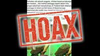 Hoax Serangga Misterius Bikin Tangan Bolong, Nggak Kuat Jangan Lihat!