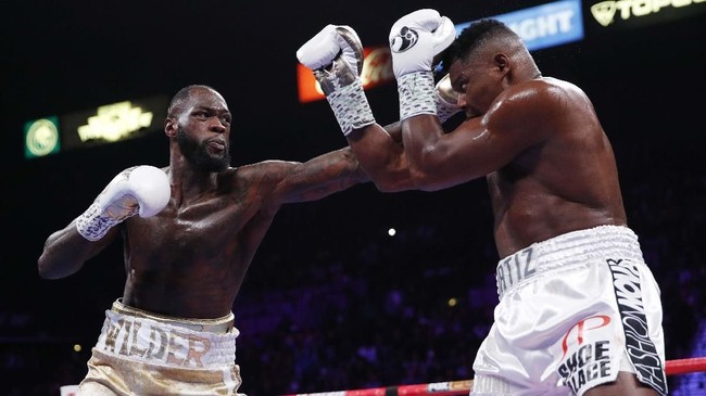 Mantan petinju kelas berat David Haye menilai pukulan Deontay Wilder jauh lebih mematikan ketimbang petinju legendaris Mike Tyson.