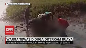 VIDEO: Warga Tewas Diduga Diterkam Buaya