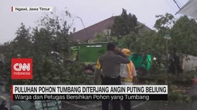 VIDEO: Puluhan Pohon Tumbang Diterjang Angin Puting Beliung
