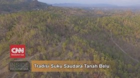 VIDEO: Tradisi Suku Saudara Tanah Belu
