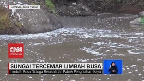 VIDEO: Sungai Arjasa Jember Tercemar Limbah Busa