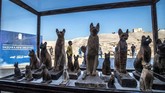 FOTO: Mumi Hewan Langka Ditemukan di Mesir Tim peneliti menemukan mumi hewan-hewan yang tak biasa. Temuan baru tim arkeologi Mesir ini dipamerkan di Saqqara necropolis Giza, Kairo, November 2019.