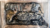 FOTO: Mumi Hewan Langka Ditemukan di Mesir Tim peneliti menemukan mumi hewan-hewan yang tak biasa. Temuan baru tim arkeologi Mesir ini dipamerkan di Saqqara necropolis Giza, Kairo, November 2019.