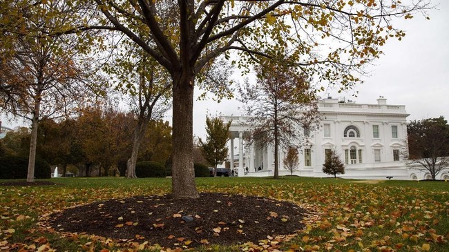 Kantor Kepresidenan Amerika Serikat, Gedung Putih, memecat lima pegawai mereka karena mengonsumsi narkoba jenis ganja.
